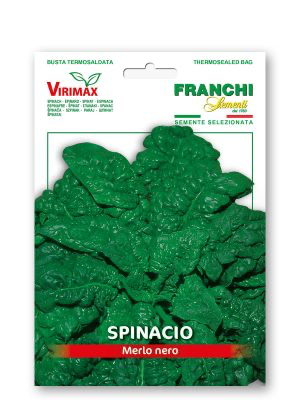 SPINACIO MERLO NERO