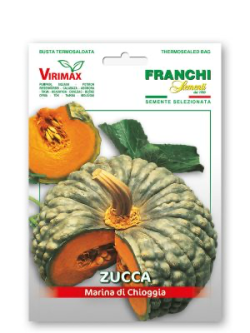 ZUCCA MARINA DI CHIOGGIA