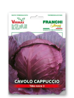 CAVOLO CAPPUCCIO TESTA NERA