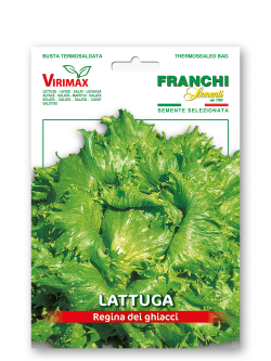 LATTUGA REGINA DELLE GHIACCIOLE