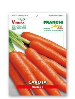 Carota NANTES 2