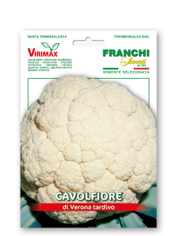 CAVOLFIORE DI VERONA TARDIVO