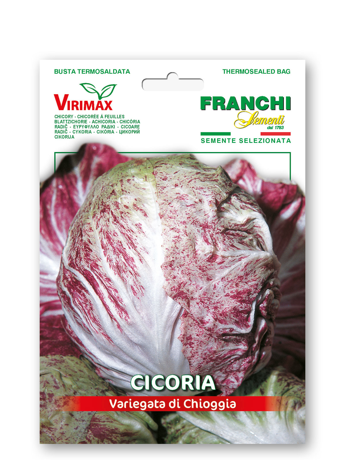 CICORIA VARIEGATA DI CHIOGGIA
