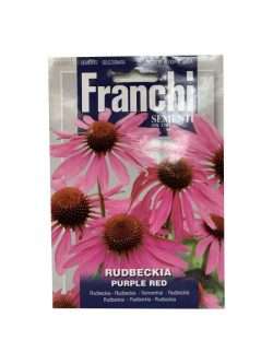 RUDBECKIA PURLPLE RED