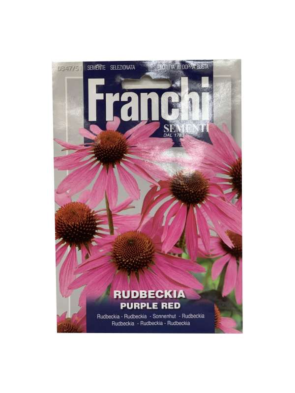 RUDBECKIA PURLPLE RED