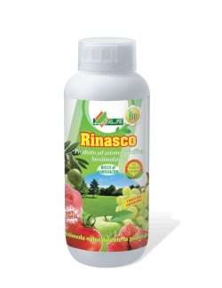 ALFE RINASCO