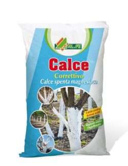 ALFE CALCE