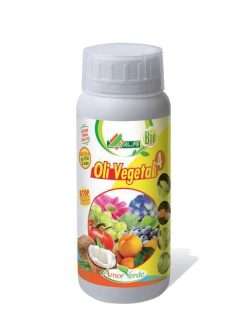 ALFE OLI VEGETALI