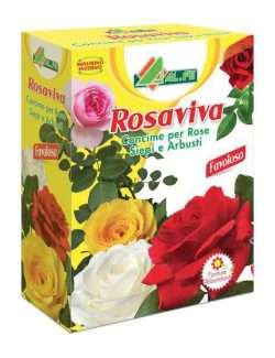 ALFE ROSAVIVA