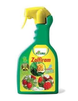 ALFE ZOLFIRAM PRONTO USO