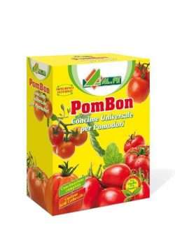 ALFE POMBON