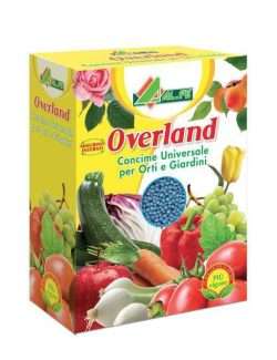 ALFE OVERLAND