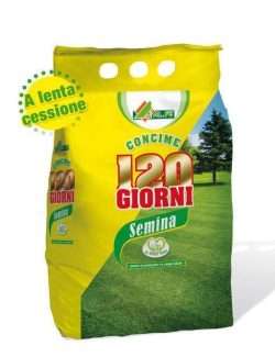 ALFE 120 GIORNI SEMINA