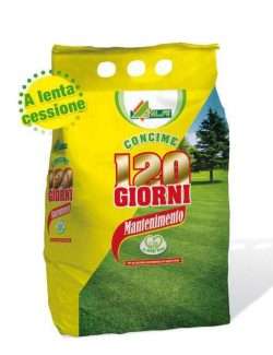ALFE 120 GIORNI MANTENIMENTO