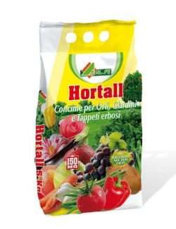 ALFE HORTALL