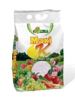 ALFE MAXI K