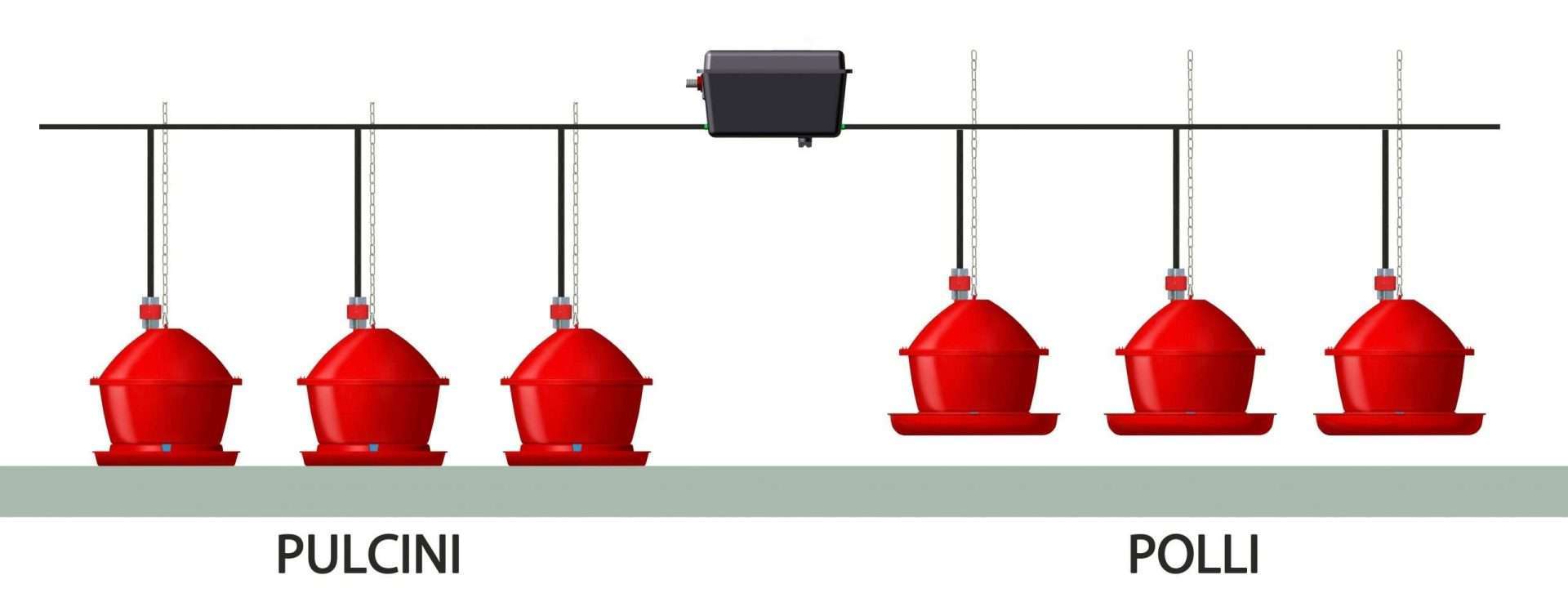 NOVITAL ABBEVERATOIO AUTOMATICO EVOLUTION PULCINI - Image 3