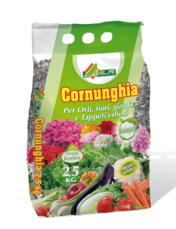 ALFE CORNUNGHIA