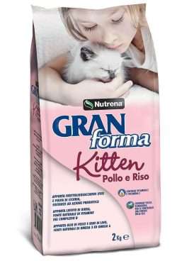 Granforma KITTEN