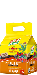 PICCOLI FRUTTI Vigorplant