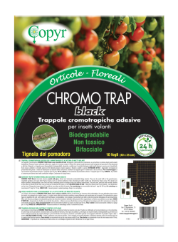 Copyr Chromo Trap Black