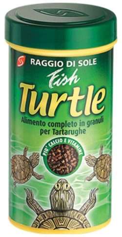 Raggio di Sole Fish Turtle