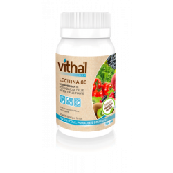 Vithal Bio Lecitina 80 250ml