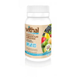 Vithal Bio Equisetum Arvense 250 ml