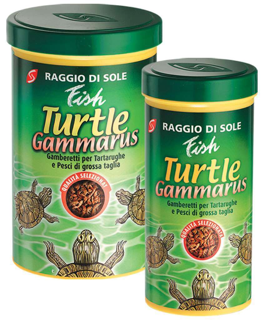 Raggio di Sole Fish Gammarus