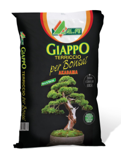 AL.FE Giappo Akadama