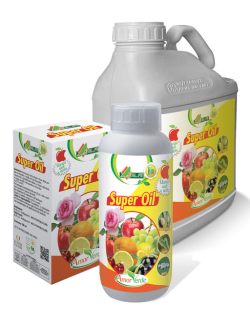 AL.FE Super Oil