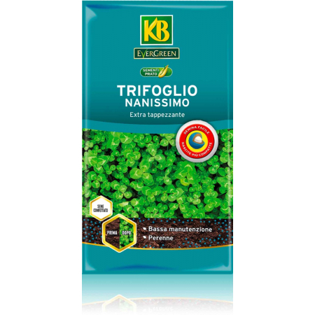 Semi per prato Trifoglio Nanissimo 500 g Evergreen