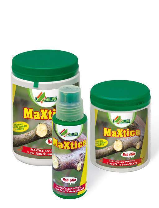 AL.FE Maxtice - mastice per innesti-