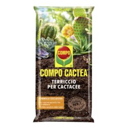 Terriccio piante grasse Cactea COMPO