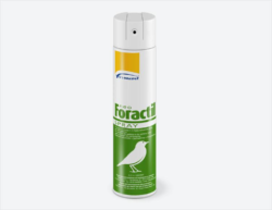 Neo Foractil Spray 10 mg/g + 3 mg/g + 2 mg/g soluzione spray per uso esterno | Formevet