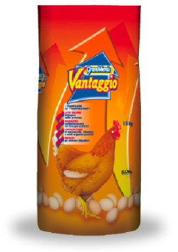 Chioccia Super ovaiolo pellet G.I.Ma