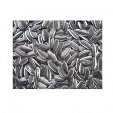 Girasole grosso striato 12,5kg