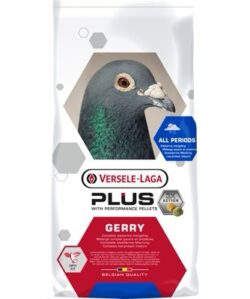 Gerry Plus Versele-Laga