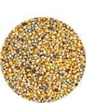 4 Season Versele-Laga - Image 2