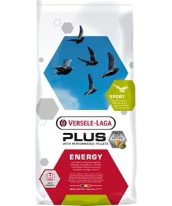 Energy Plus Versele-Laga
