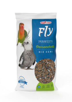 Parrocchetti Fly Hobby Raggio di Sole