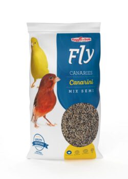 Canarini Fly Hobby Raggio di Sole