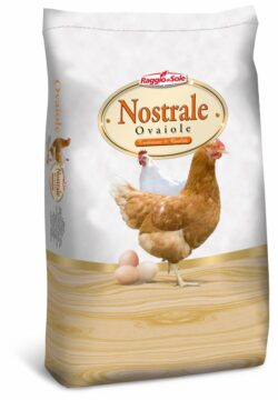 Pre-Ovo Sbriciolato 22kg Raggio di Sole